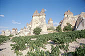 Cappadocia, Pasabag valley 